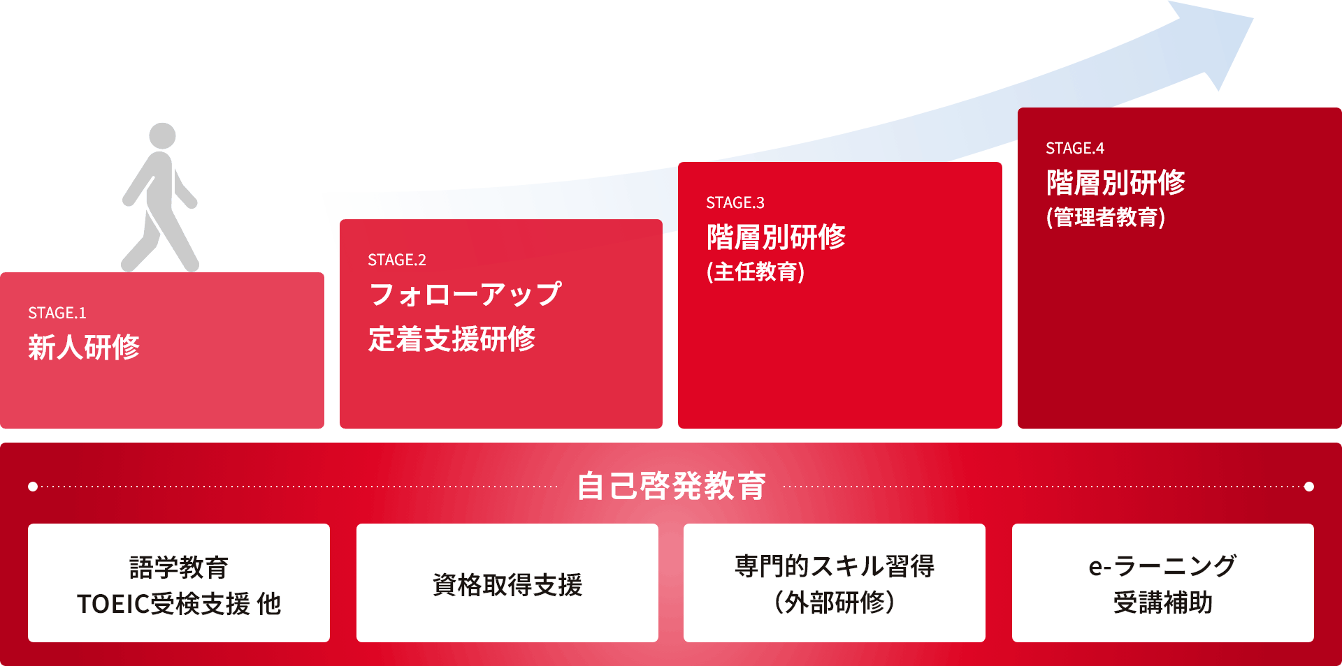 STAGE.1 新人研修 STAGE.2 フォローアップ 定着支援研修 STAGE.3 階層別研修(主任教育) STAGE.4 階層別研修(管理者教育) 自己啓発教育 語学教育 TOEIC受検支援 他 資格取得支援 専門的スキル習得 （外部研修）e-ラーニング 受講補助